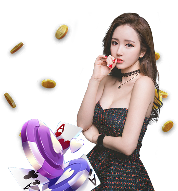 TPower Customer Services| Tpower联系客服
